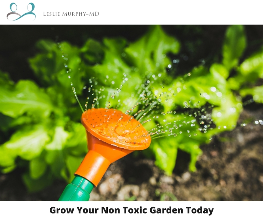 Grow Your Non Toxic Garden Today1